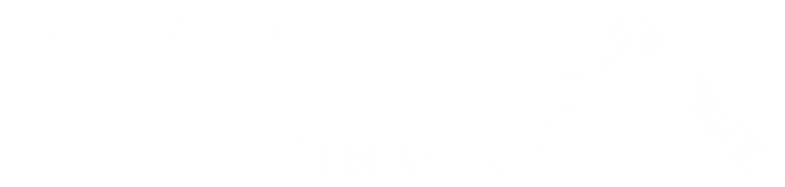 The Landlord Association